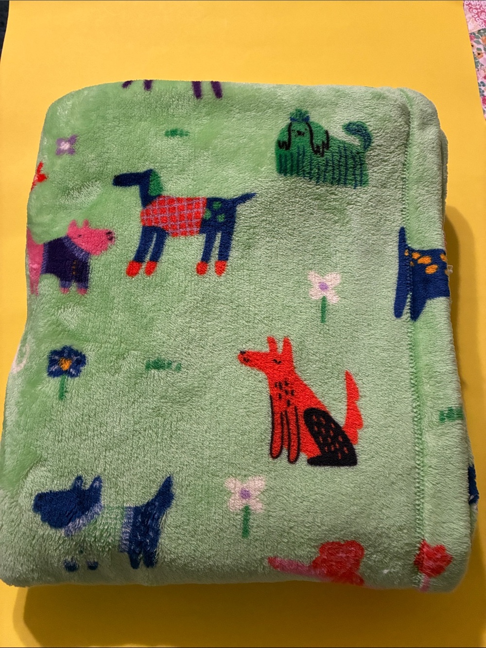 Blankets for Kids (NWOT) - Picture 4 of 12